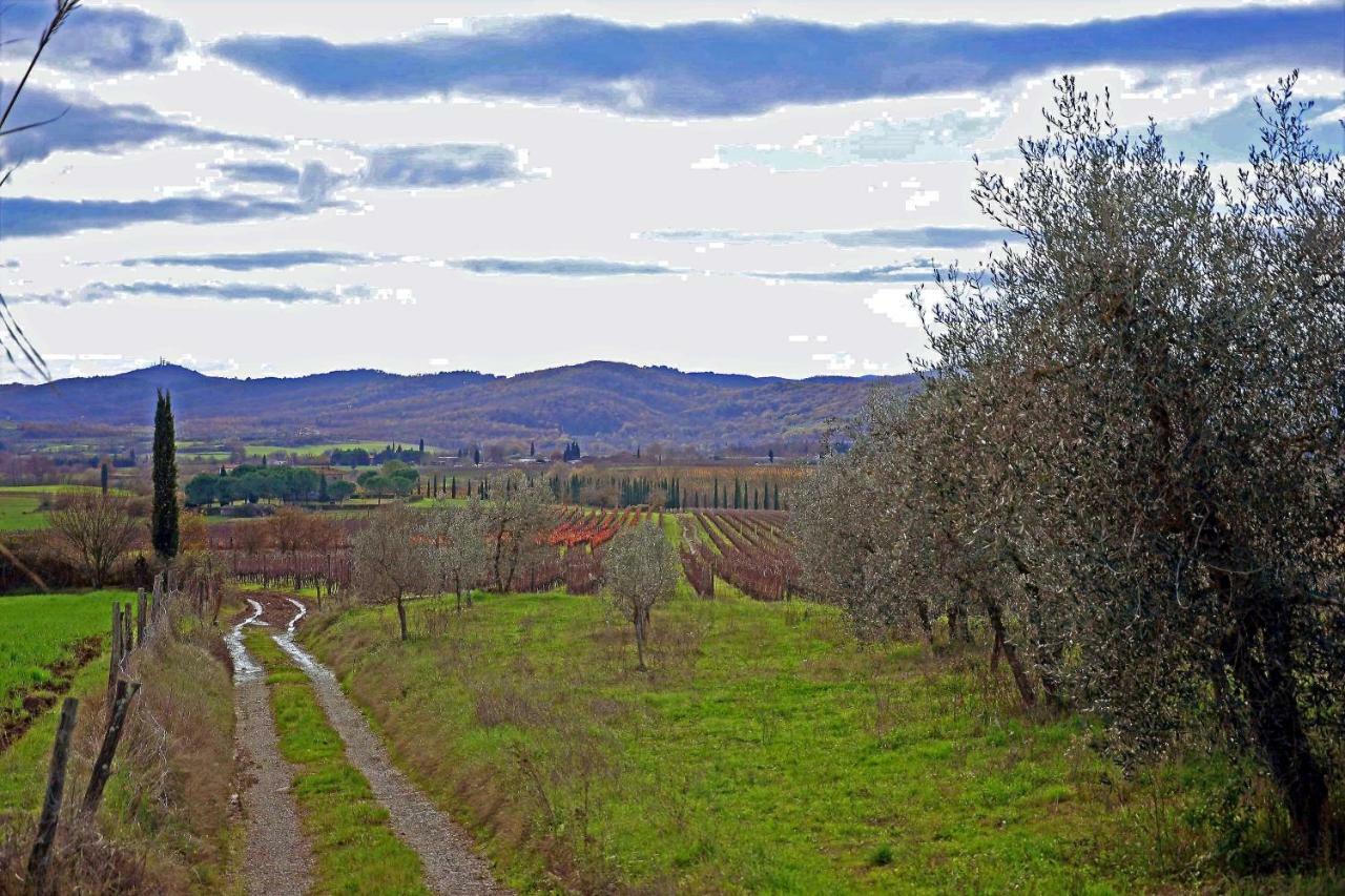 Antica Dimora Figli Di Bocco Διαμέρισμα Castiglion Fibocchi Εξωτερικό φωτογραφία