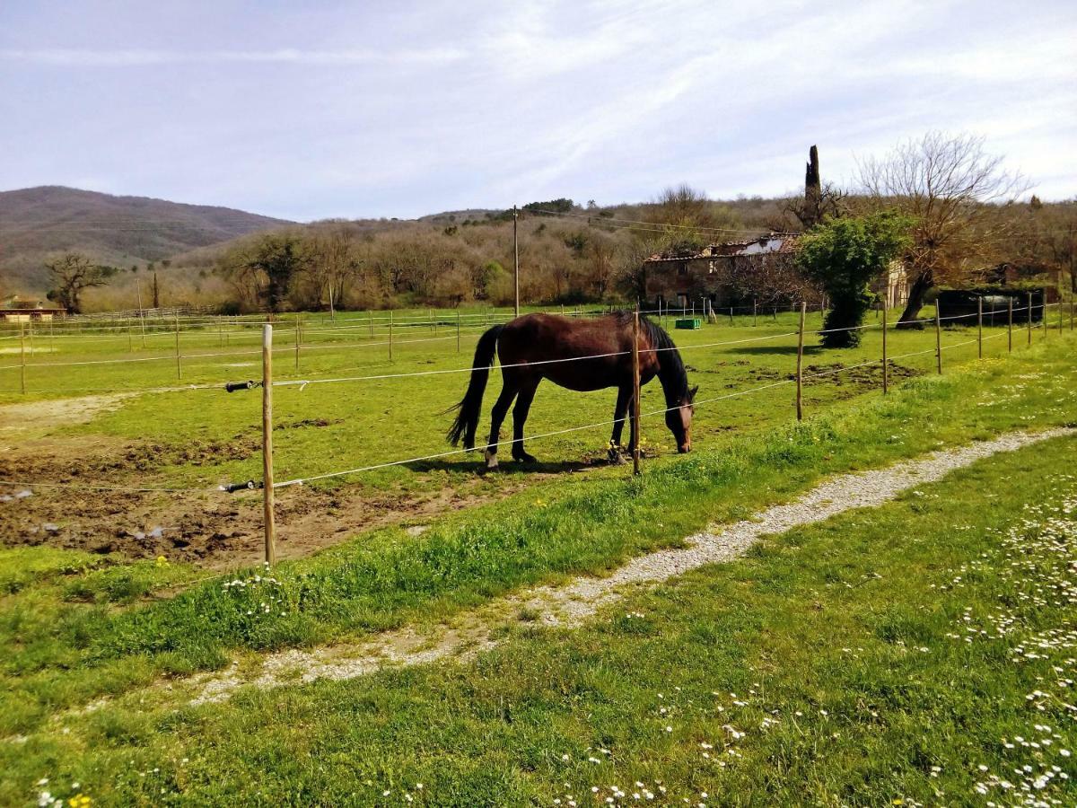 Antica Dimora Figli Di Bocco Διαμέρισμα Castiglion Fibocchi Εξωτερικό φωτογραφία